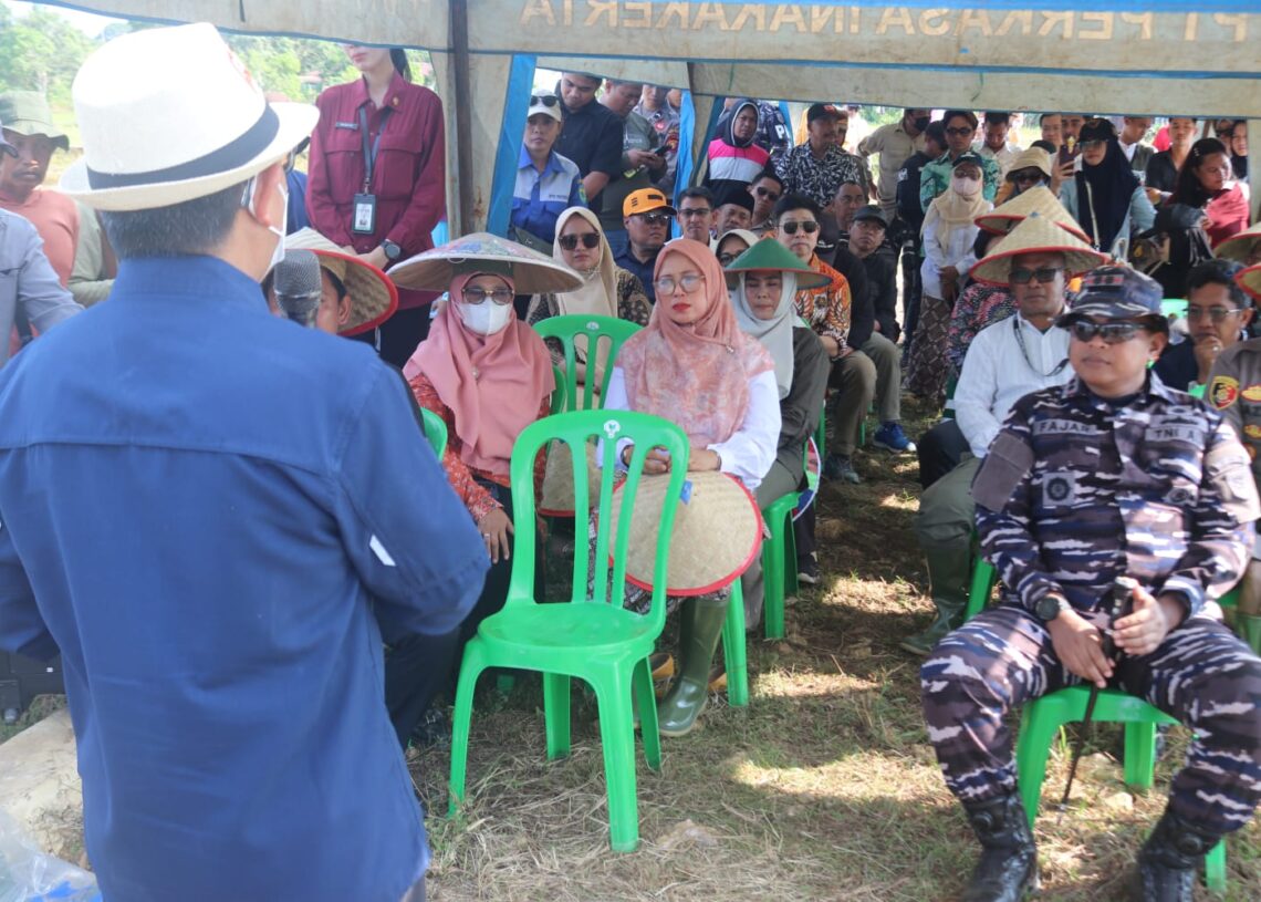 Menjadi Pionir Pertanian Modern, Desa Sekerat Jadi Garda Ekonomi Mandiri
