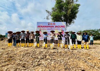 Kehidupan Baru di Atas Lahan Pasca Tambang, Kolaborasi untuk Ketahanan Pangan