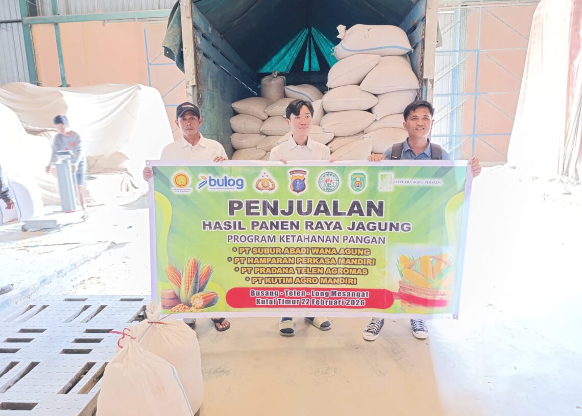 Polsek Muara Wahau Fasilitasi Kemitraan Petani, Panen Jagung Pipil 4 Ton Diserap Bulog