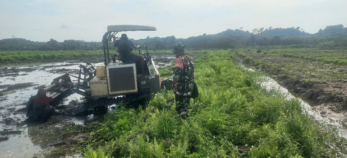 Cetak Sawah Rakyat Perkuat Ketahanan Pangan dan Ekonomi Kutai Timur