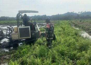Cetak Sawah Rakyat Perkuat Ketahanan Pangan dan Ekonomi Kutai Timur