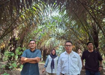 Aren Tak Sekadar Nira, Kutim Bidik Industri Turunan dari Kebun hingga Pasar