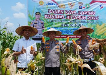 Kapolres Kutim Hadiri Panen Raya Jagung Kuartal III 2026 di Muara Wahau, Perkuat Sinergi Ketahanan Pangan