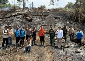 Mata Air Kaliorang Mengering, Pembukaan Lahan di Sekitar Kawasan Capai 50 Hektare