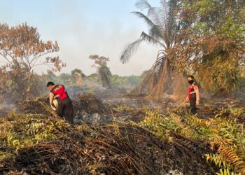 5 Hektare Belukar Terbakar! Polisi dan BPBD Berjibaku Padamkan Karhutla di Sangatta Utara