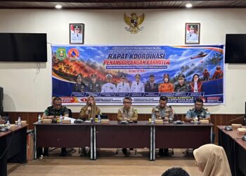Titik Panas Karhutla di Kutim Berangsur Turun, BPBD Catat 68,3 Hektare Lahan Terdampak