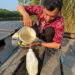 Air Laut Masuk Sungai Sangatta, Intake Kabo Masih Aman
