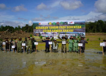Dari Cetak Sawah hingga Gudang Pangan, Kutim Bangun Ekosistem Swasembada Beras