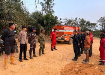 Kebakaran Lahan 1 Hektare di Kolek Sangkulirang, Polisi Dalami Dugaan Puntung Rokok Jadi Pemicu Api