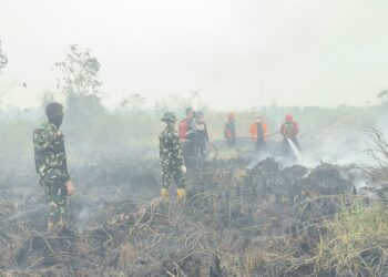 Karhutla di Sangatta Utara Meluas, 5 Hektare Lahan Terbakar
